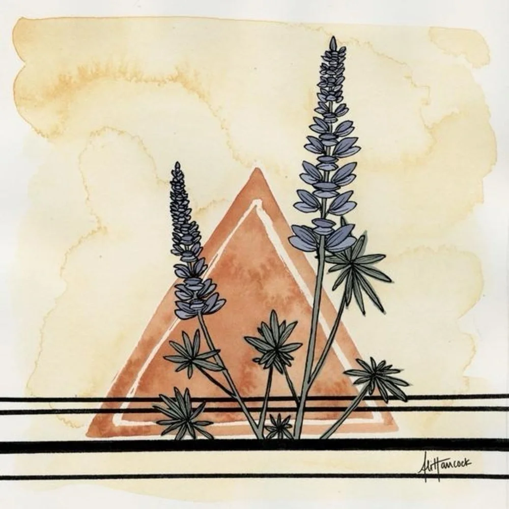 Whiskey Jack Designs Set of 3 Paintings 12x12 Castilleja Lupine Balsamroot